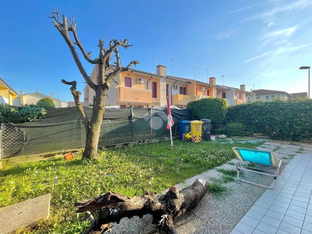 immagine annuncio 7 di 11