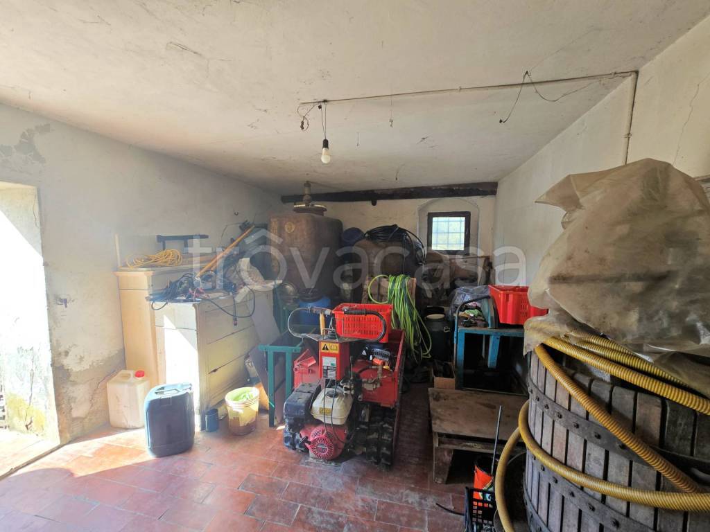 immagine annuncio 7 di 11