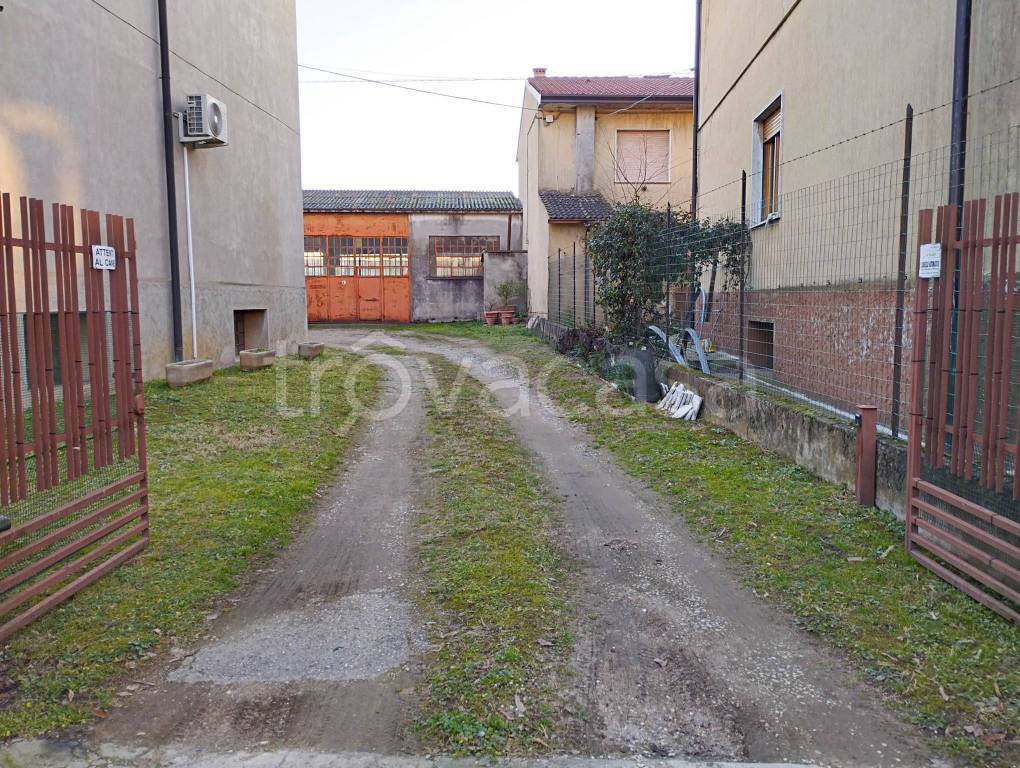 immagine annuncio 3 di 11