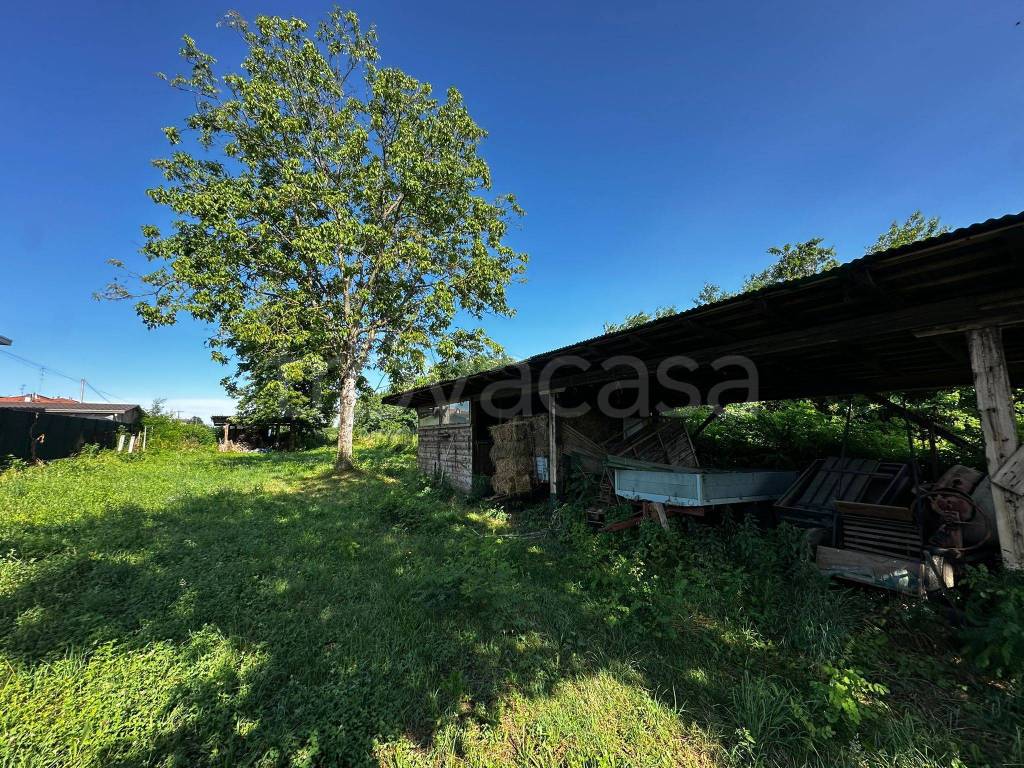 immagine annuncio 7 di 15