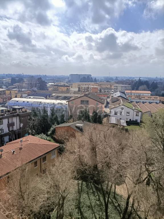 immagine annuncio 5 di 11