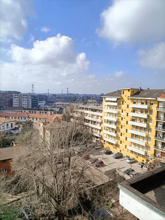 immagine annuncio 6 di 11