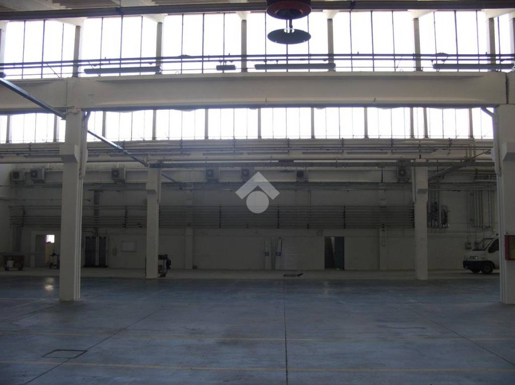immagine annuncio 7 di 13