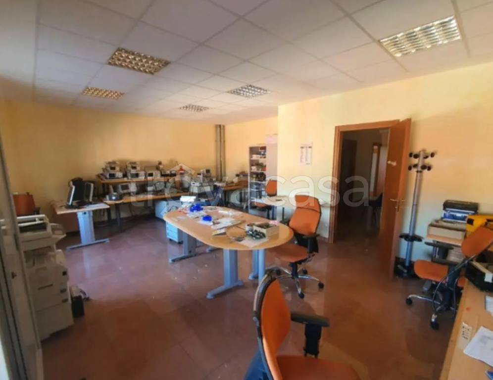immagine annuncio 10 di 13