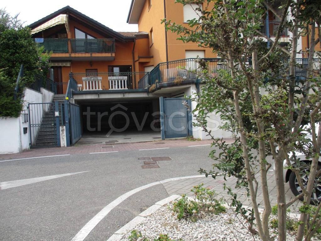 immagine annuncio 9 di 15