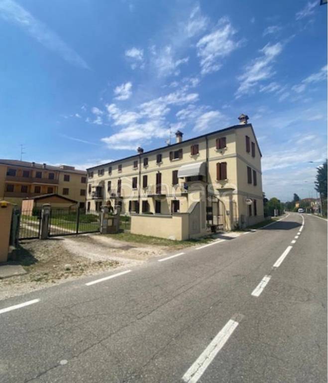 immagine annuncio 3 di 6