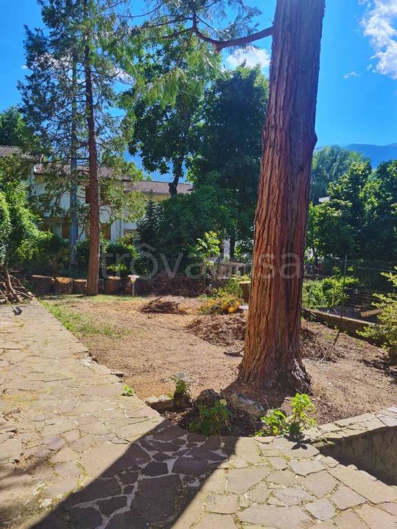 immagine annuncio 11 di 13