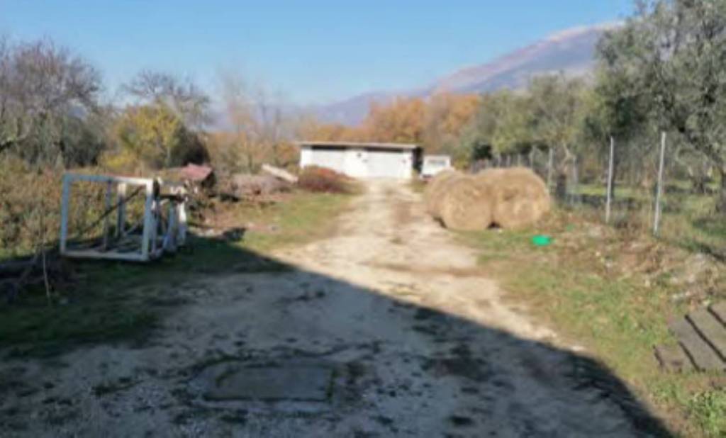 immagine annuncio 1 di 13