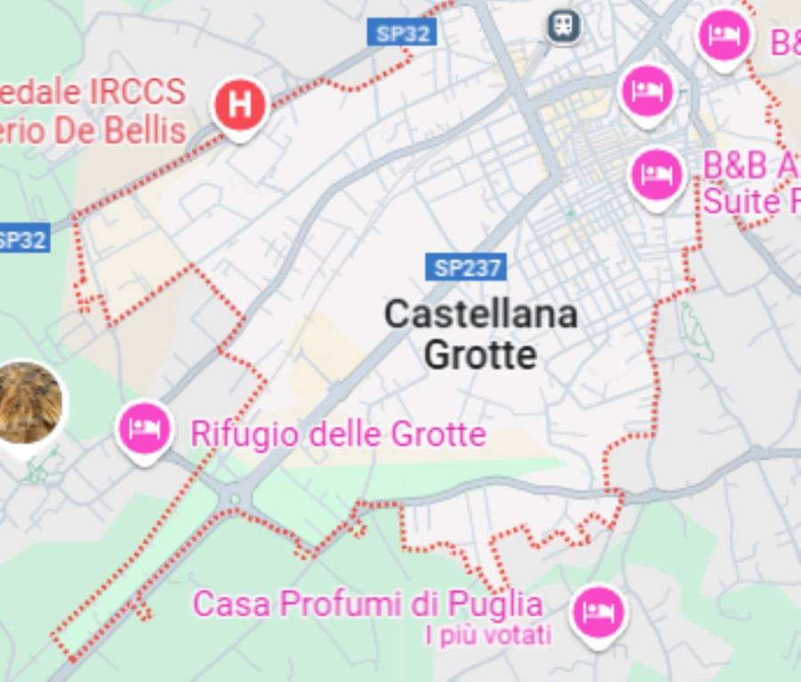 immagine annuncio 2 di 11
