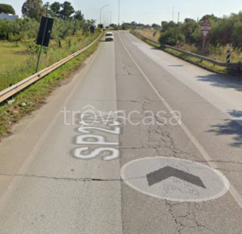 immagine annuncio 3 di 11