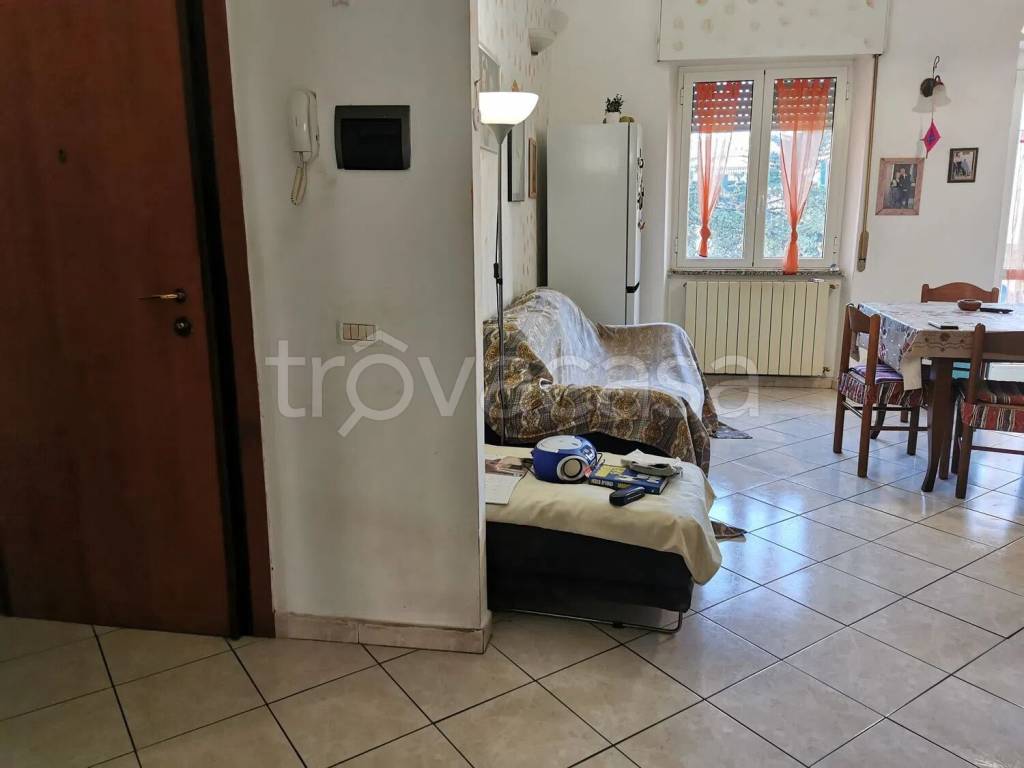 immagine annuncio 6 di 11