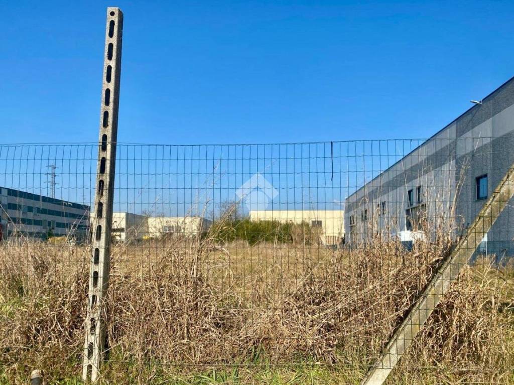 immagine annuncio 2 di 4