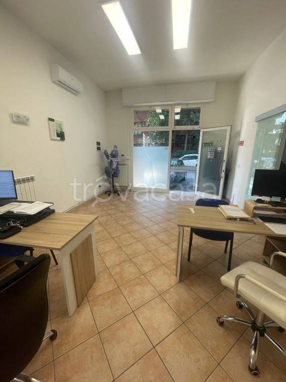 immagine annuncio 2 di 12