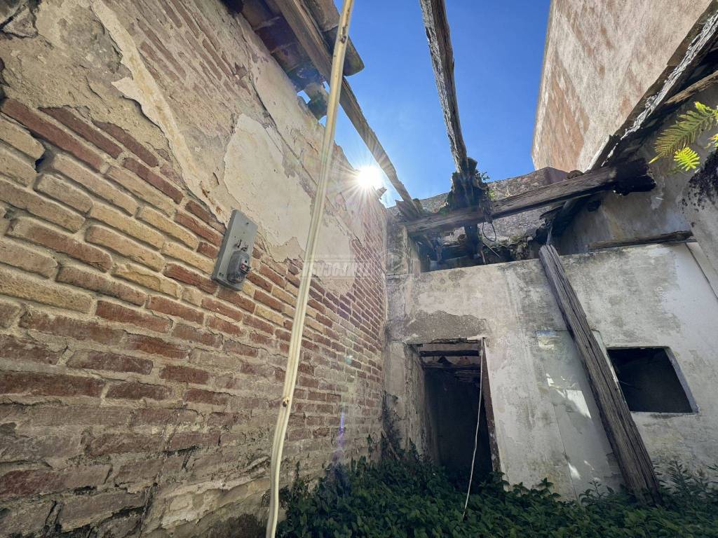 immagine annuncio 3 di 7