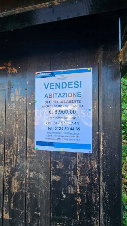 immagine annuncio 9 di 15