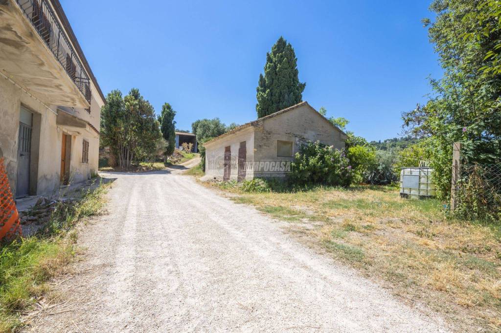 immagine annuncio 5 di 11