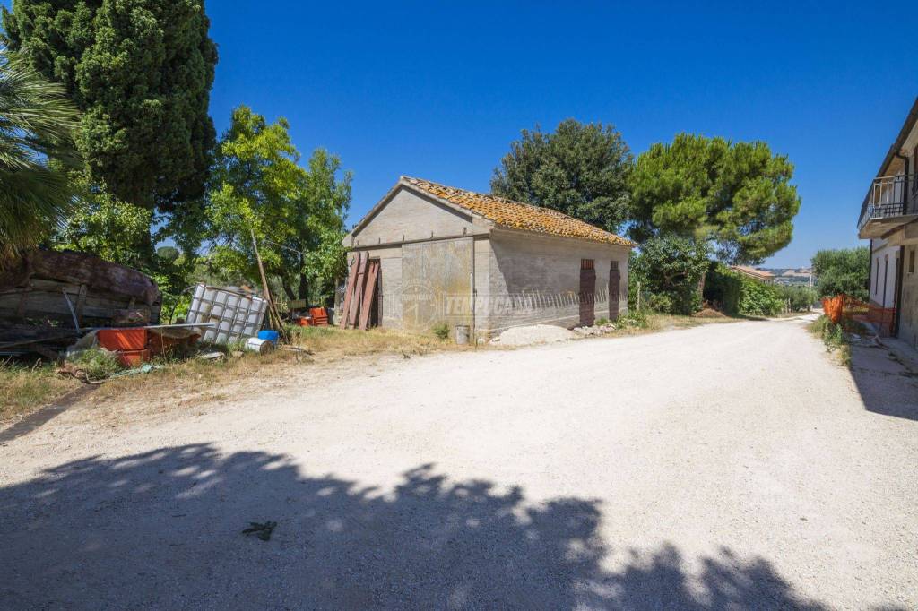 immagine annuncio 6 di 11