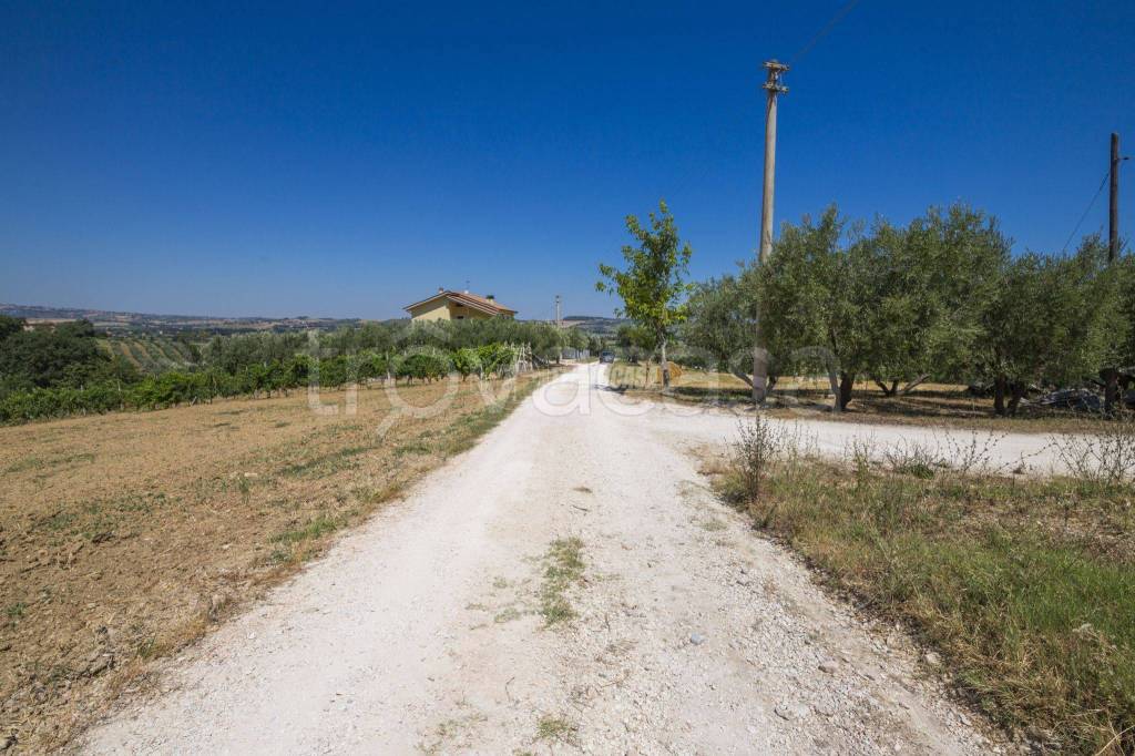 immagine annuncio 7 di 11