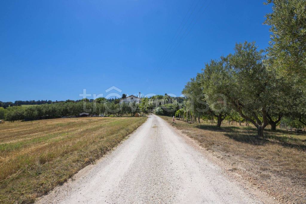 immagine annuncio 9 di 11