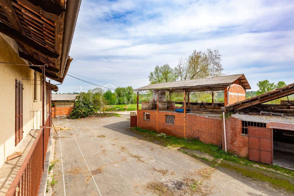 immagine annuncio 11 di 15