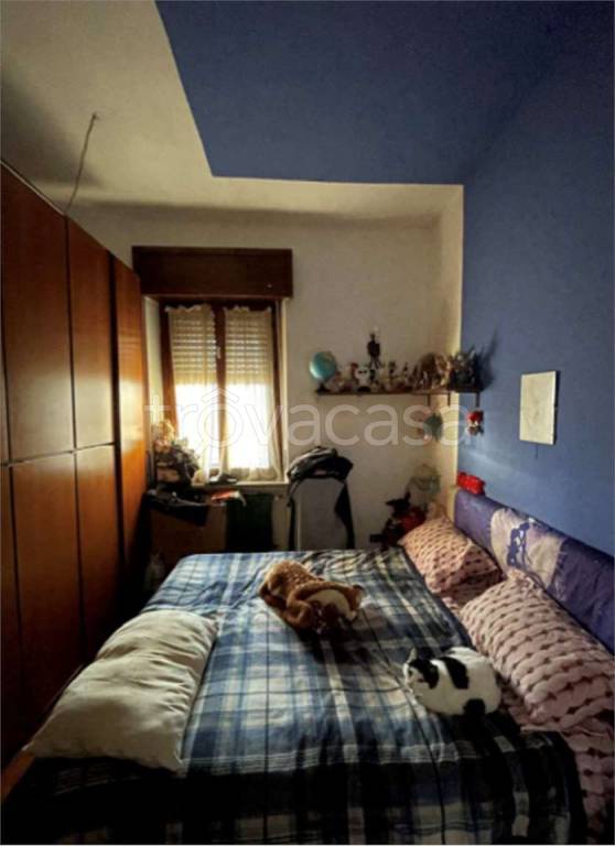 immagine annuncio 7 di 13