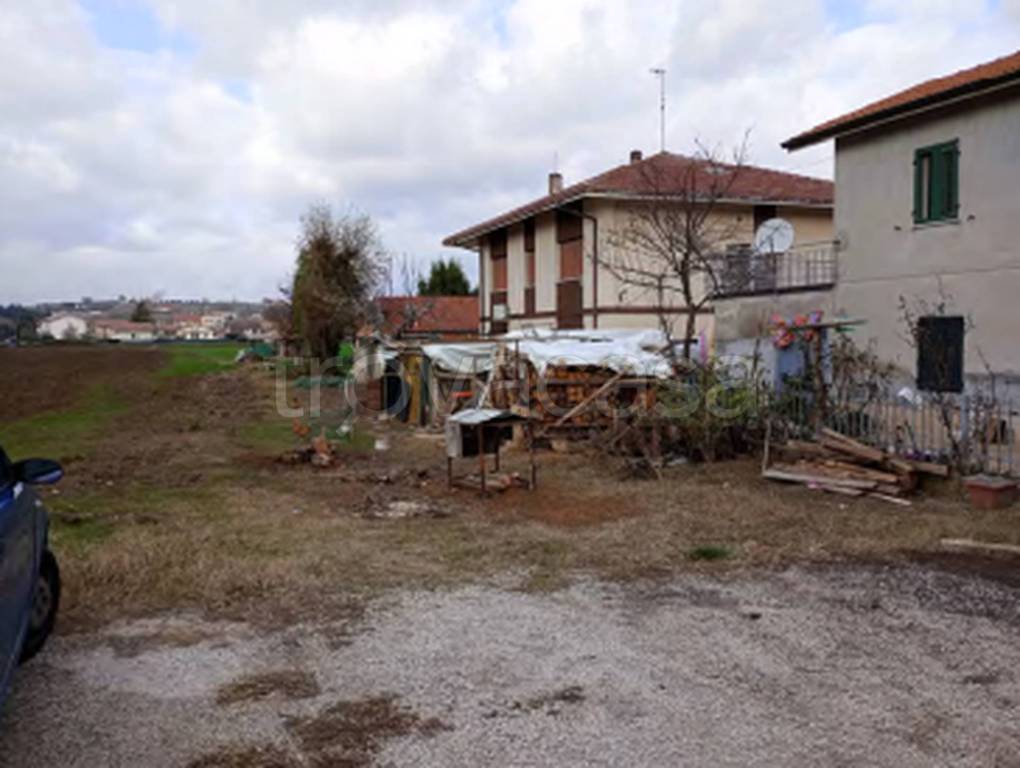 immagine annuncio 5 di 11