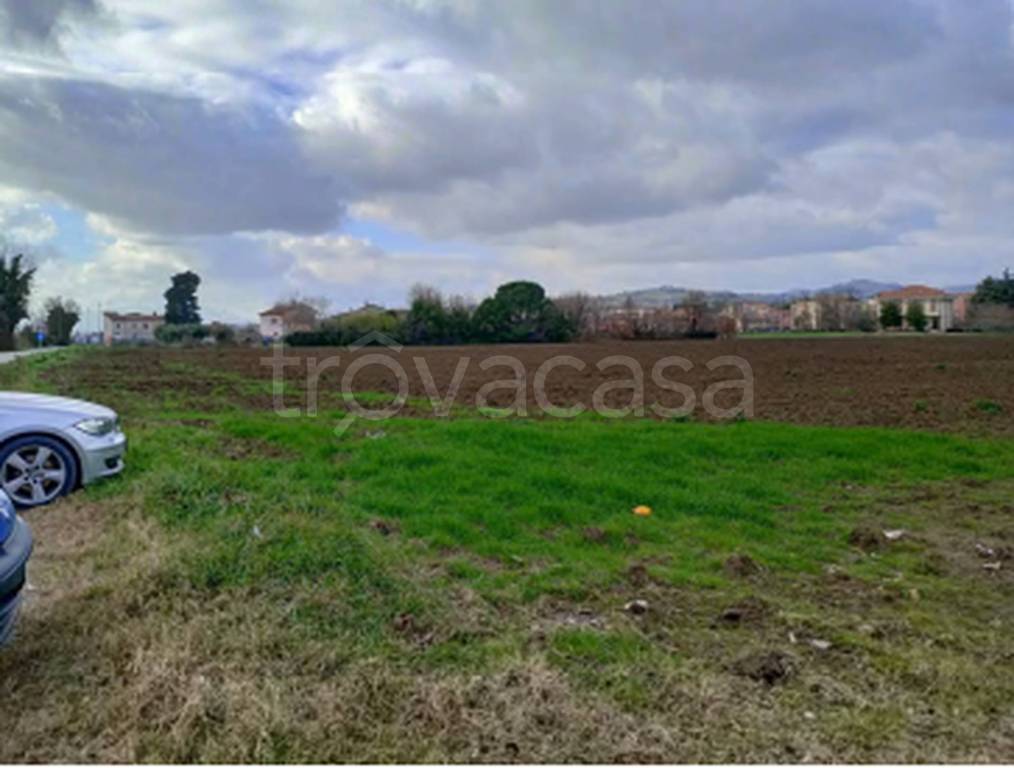 immagine annuncio 8 di 11