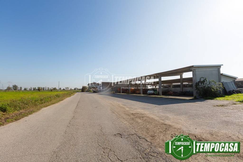 immagine annuncio 4 di 13