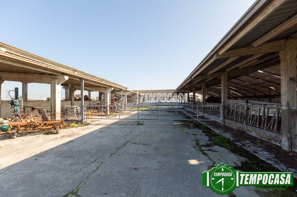 immagine annuncio 6 di 13