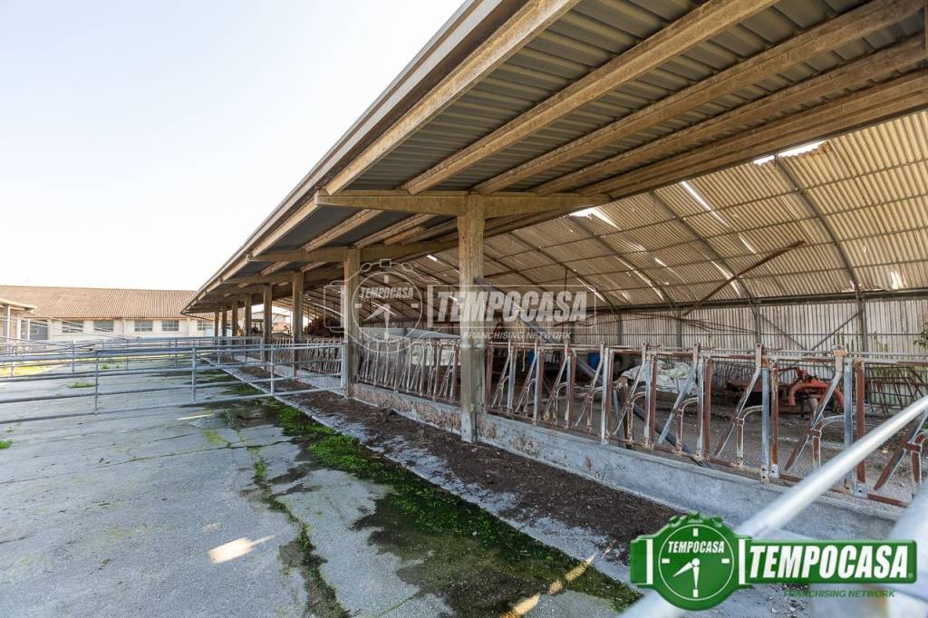 immagine annuncio 7 di 13