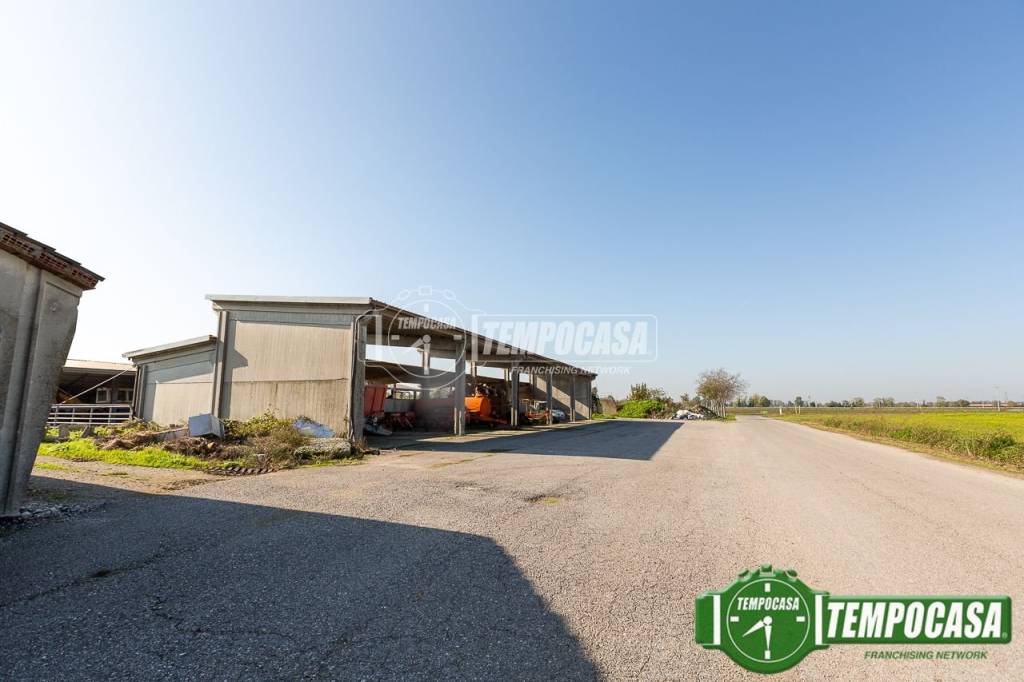 immagine annuncio 11 di 13