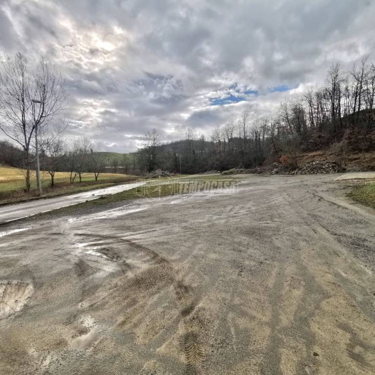 immagine annuncio 3 di 6