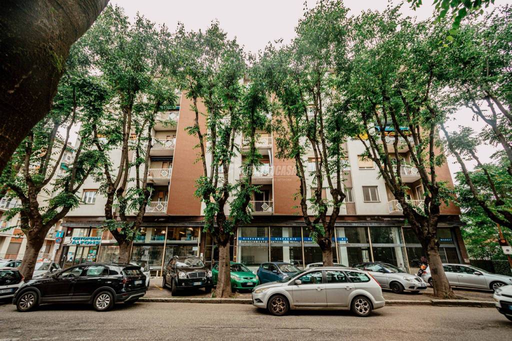 immagine annuncio 3 di 14