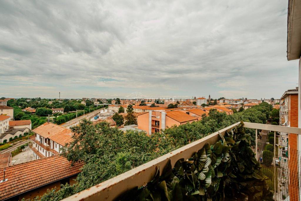 immagine annuncio 12 di 14