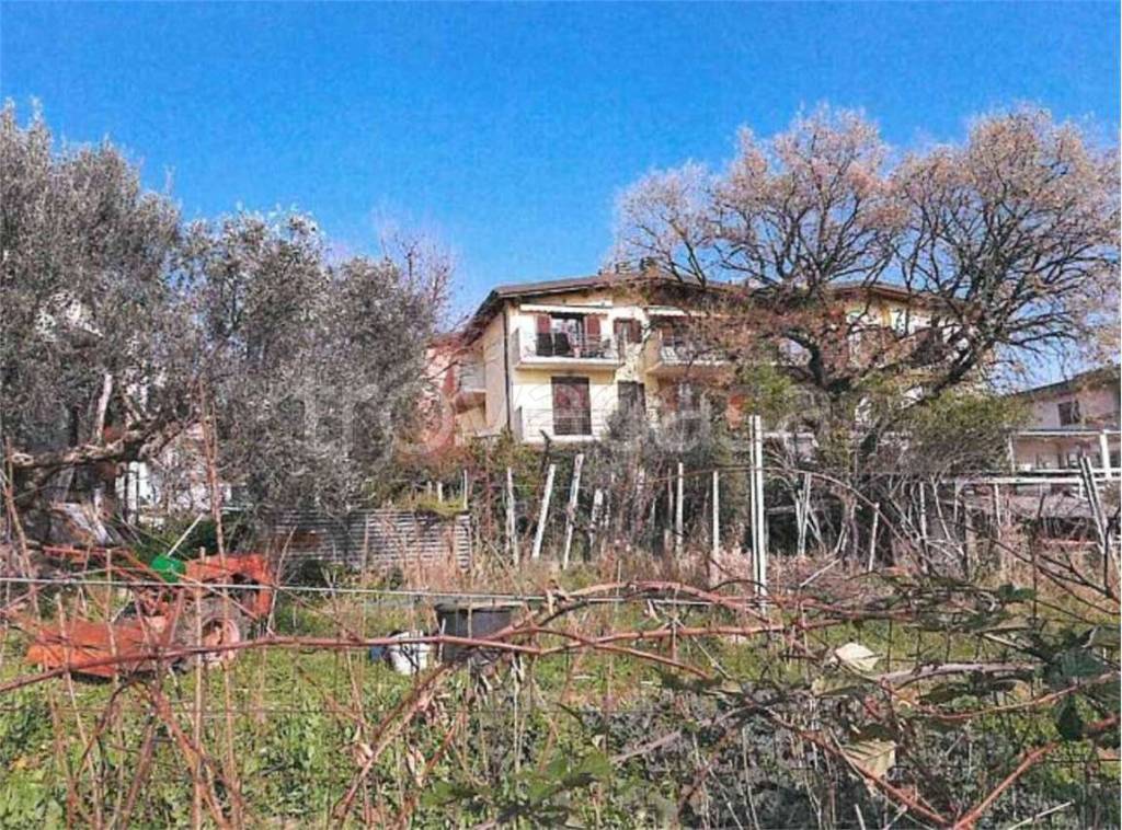 immagine annuncio 2 di 13