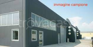 immagine annuncio 1 di 9