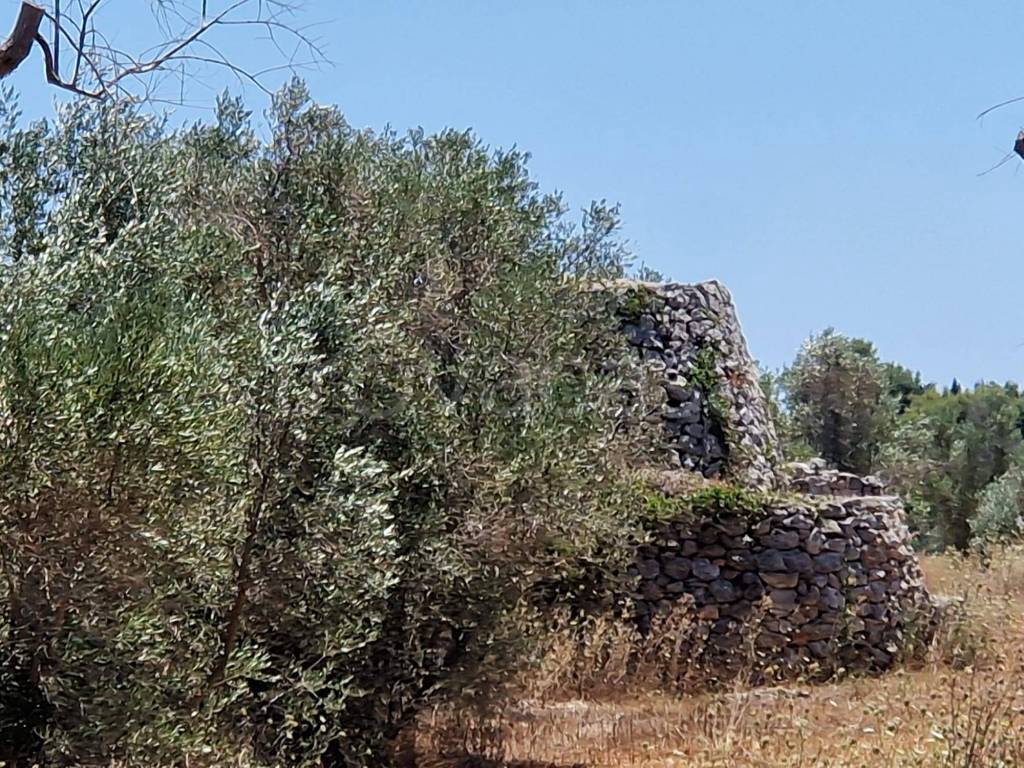 immagine annuncio 5 di 6