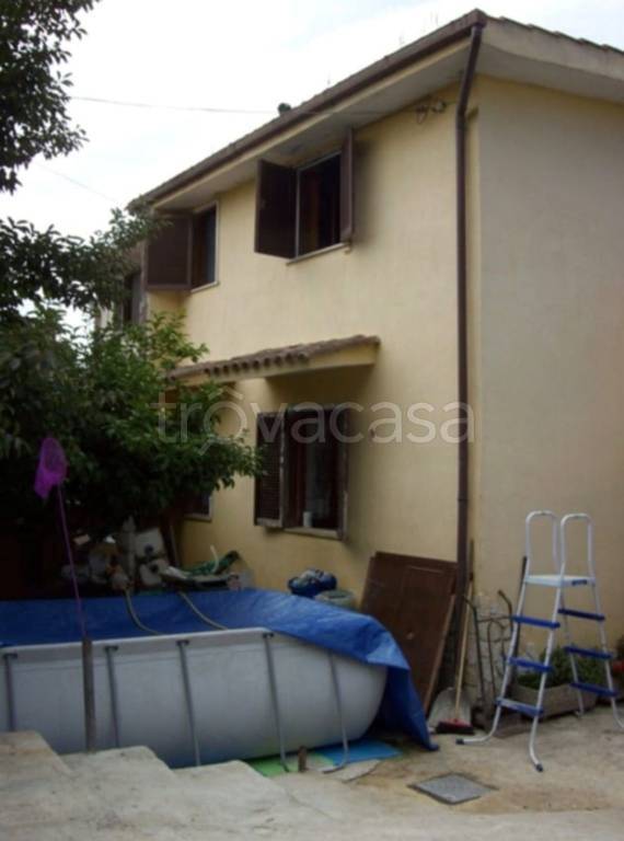 immagine annuncio 11 di 13