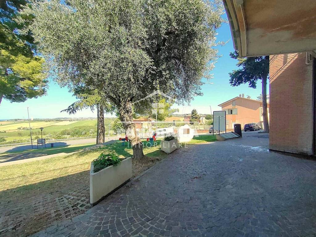 immagine annuncio 6 di 7