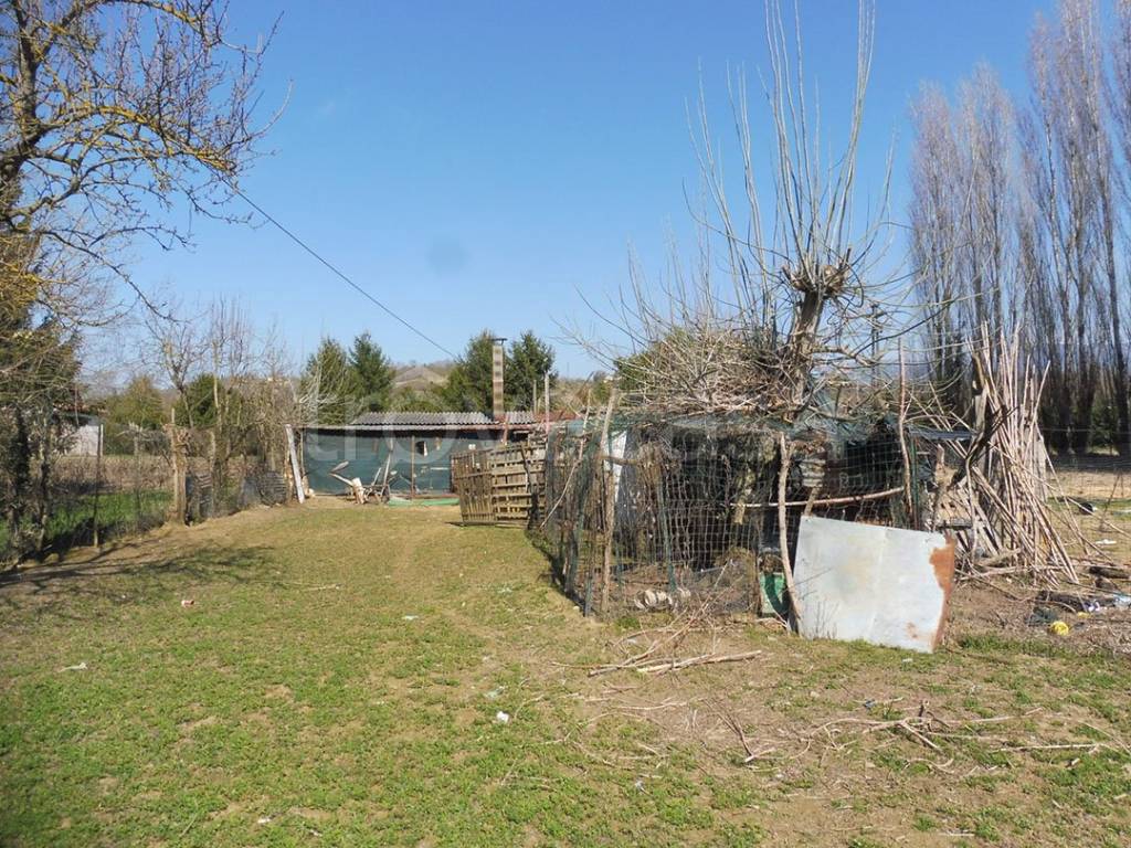 immagine annuncio 2 di 15