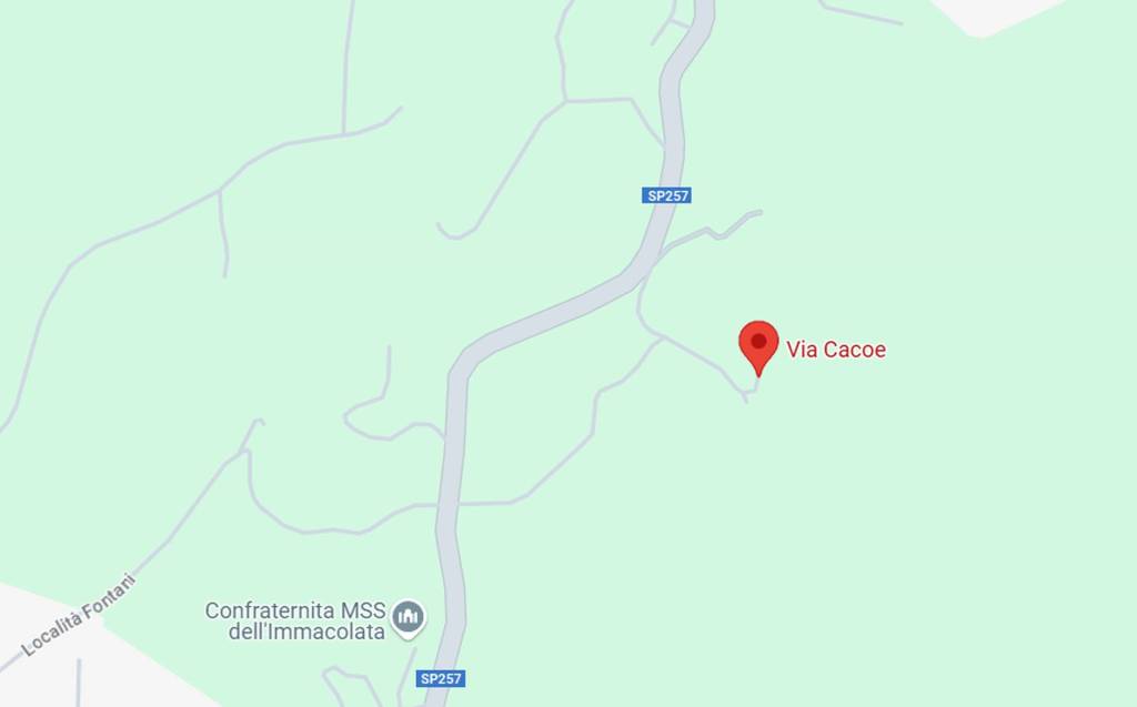 immagine annuncio 6 di 14