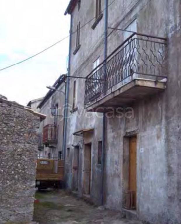 immagine annuncio 10 di 14