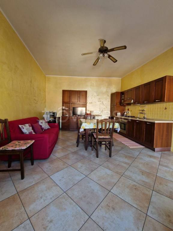 immagine annuncio 2 di 12