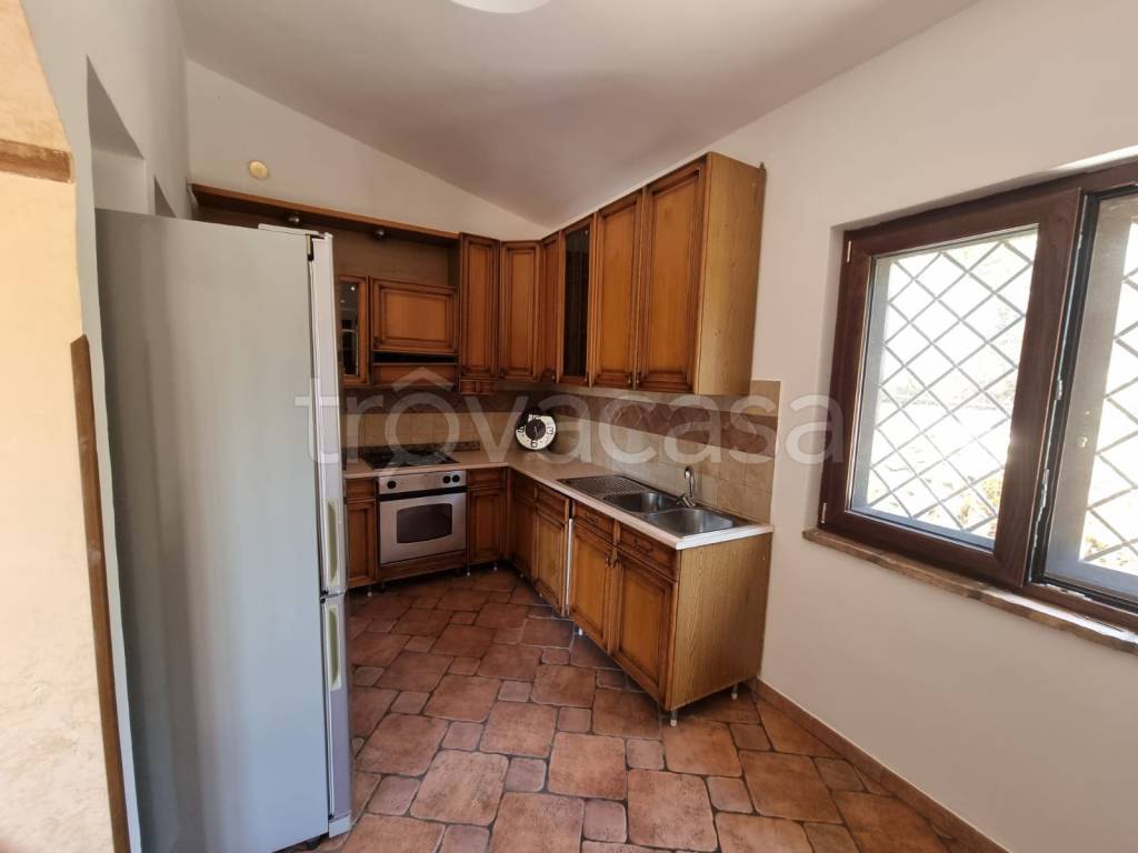 immagine annuncio 3 di 14