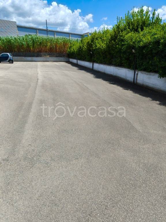 immagine annuncio 2 di 9