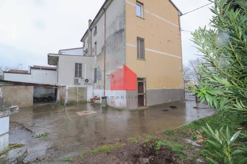 immagine annuncio 12 di 14