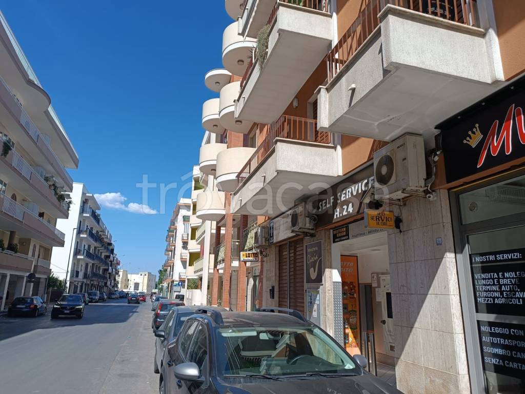 immagine annuncio 10 di 13