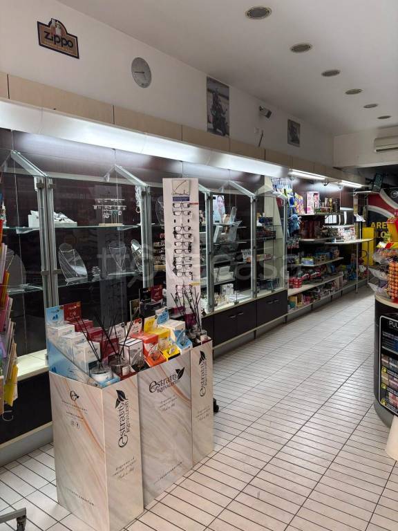 immagine annuncio 4 di 13