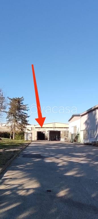 immagine annuncio 3 di 9