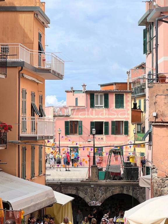 immagine annuncio 1 di 14